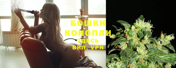 стафф Киреевск