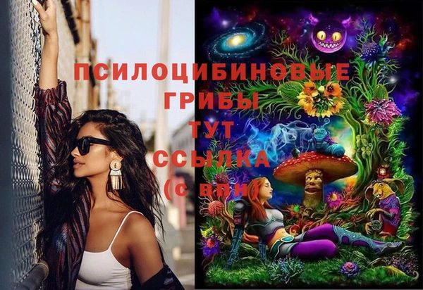 стафф Киреевск