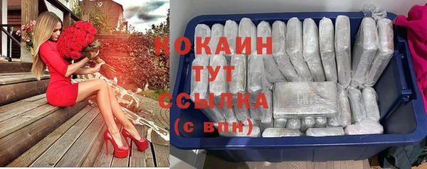 стафф Киреевск