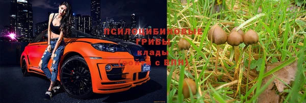 стафф Киреевск